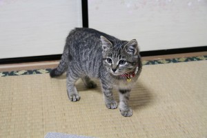 20111203