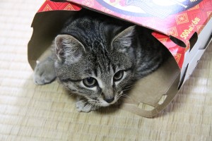 20120101