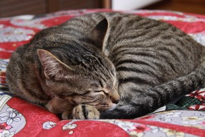 20120421