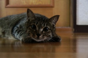 20120915