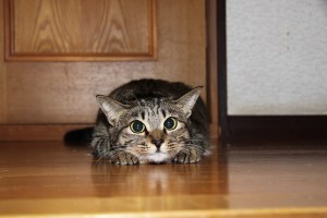 20121001